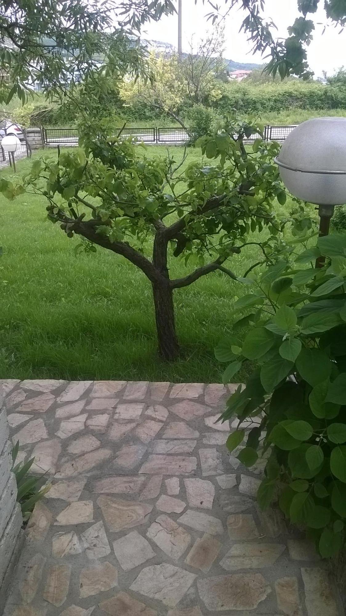 Villa Elina Balchik Luaran gambar